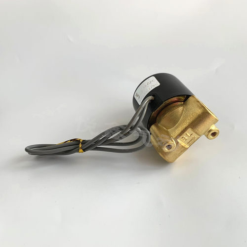 2分高压电磁阀 2WH018-08高压电磁阀 压力25公斤 220V 24V12V包邮