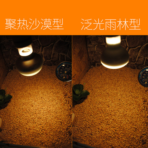 爬宠饲养箱日行守宫晒灯uva保温加热灯鬃狮蜥蜴乌龟晒背冬天取暖