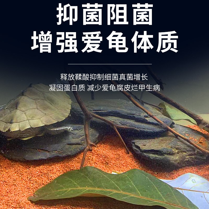 乌龟专用龙眼叶鱼缸造景叶子免煮天然风干养龟躲避专用调节水质图片
