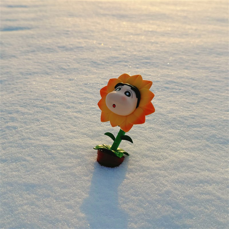 盛开在冬日的向日葵小新 潮玩雕像手办彩盒包装节日生日礼物