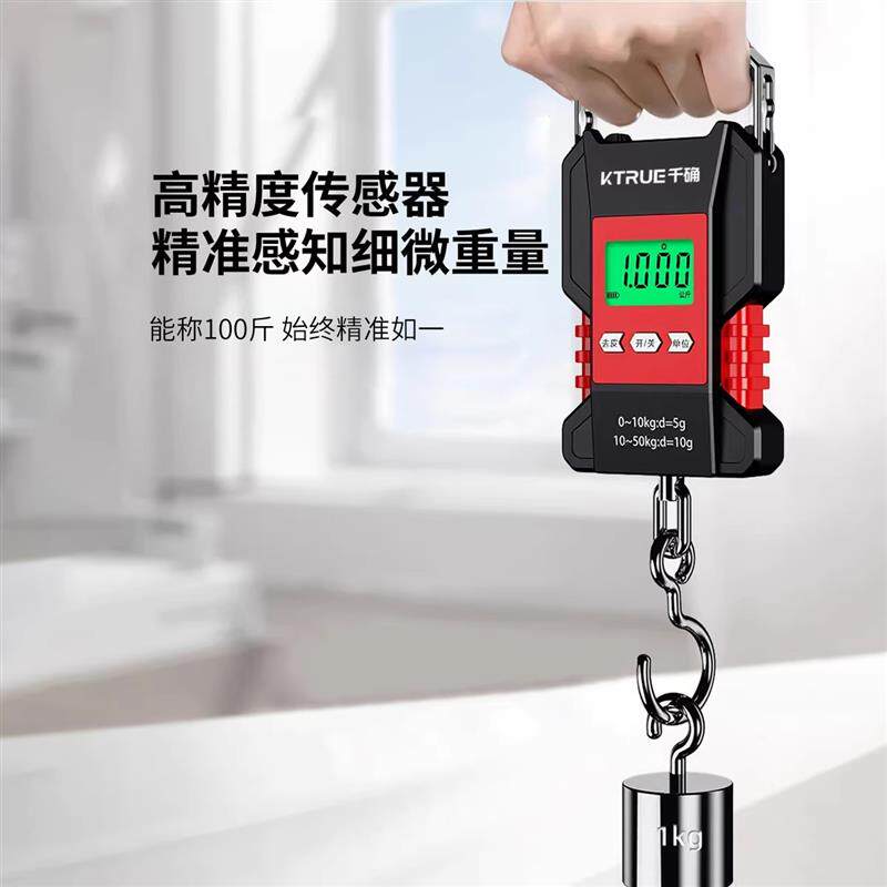 高精度防水手提电子秤精准便携式手拎随身小型称鱼器钩家用弹簧称