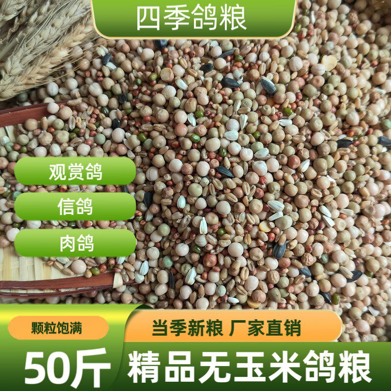 50斤精品无玉米鸽子粮食营养饲料鸟食信鸽观赏鸽肉鸽幼鸽成鸽粮