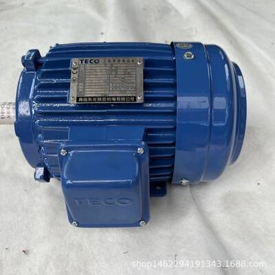 电机TEF390L-2AEMB3N3HP2P
