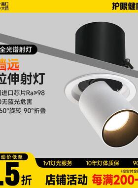 可拉伸缩射灯led嵌入式旋转可调角度背景墙照画玄关高显色象鼻cob
