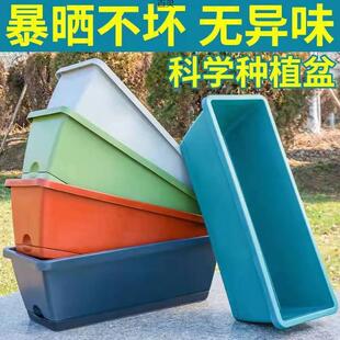 种菜盆长方条形阳台室内种植箱花盆菜园超厚大号塑料霍伦耐用加厚