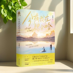 【正版现货】今夜我在德令哈 林子律 三秦出版社 现代都市书籍 9787551824446