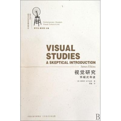 【正版书包邮】视觉研究怀疑式导读西方当代视觉文化艺术精品译丛詹姆斯埃尔金斯常宁生顾华明者雷鑫江苏美术