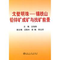 【正版書包郵】戈壁明珠錫鐵山鉛鋅礦成礦與找礦前景汪海濤冶金工業(yè)出版社
