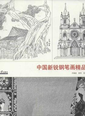 【正版书包邮】中国新锐钢笔画精品集辛塞波天津大学出版社