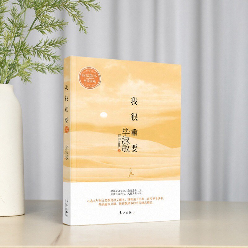 我很重要毕淑敏著9787540751432