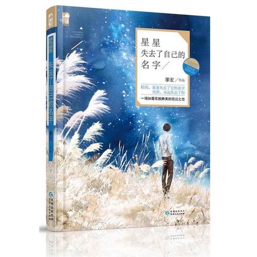【正版书包邮】星星失去了自己的名字邬宏贵州人民出版社