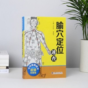 【正版现货】腧穴定位速查 吴中朝 刘松 中国科学技术出版社 医药卫生书籍 9787504676801