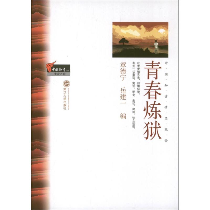 【正版书包邮】青春炼狱章德宁武汉大学出版社
