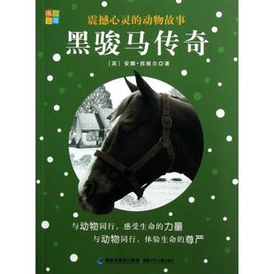 【正版书包邮】黑骏马传奇震撼心灵的动物故事安娜西维尔|改书香童年福建少儿
