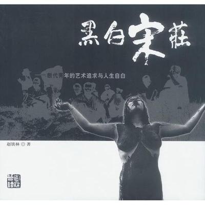 【正版书包邮】黑白宋庄赵铁林海南出版社