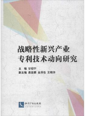 【正版书包邮】战略新兴产业专利技术动向研究甘绍宁知识产权出版社