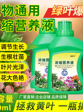 植物营养液通用型家用养花卉绿萝水培绿植多肉盆栽发财树液体肥料