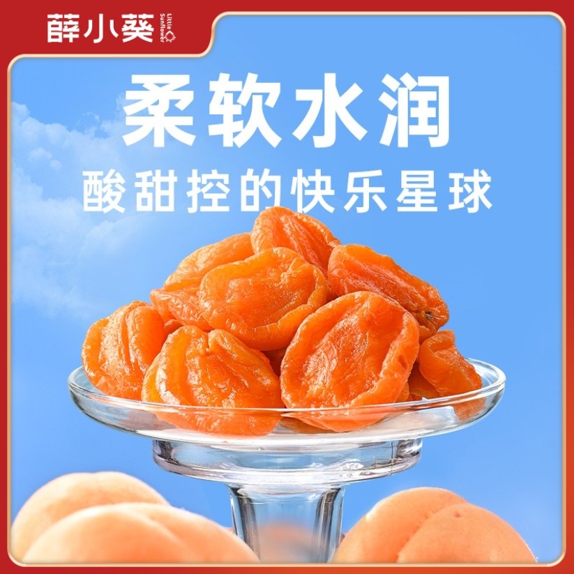 薛小葵新品红杏干108g杏脯无核杏肉儿童解馋酸甜果干零食薛记出品
