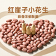 薛小葵蒜香花生米500g 2025新货花生带壳多味花生下酒菜薛记出品