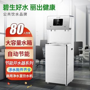 碧丽W RO商用饮水机办公室高端工厂车间大型开水器直饮机净水 L20
