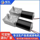 大扭力低噪音自锁蜗轮蜗杆减速电机机器人电机电动转盘低速马达