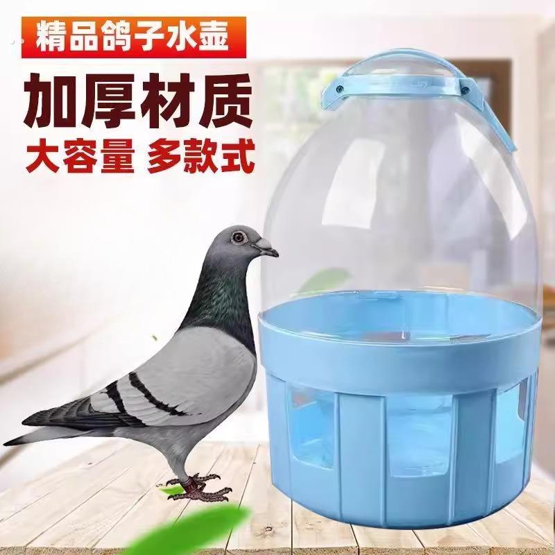 鸽子用品用具饮水器自动喂水信鸽水槽赛鸽喝水桶鸽具鸡用水壶加厚