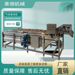 配菜池洗菜机食堂柑橘气泡清洗机大产量圣女果翻浪式气泡清洗机