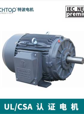 NEMA三相异步电机油井油田泵耐高温C1D2防爆电机UL/CSA认证