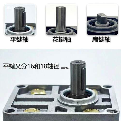 液压油泵齿轮泵电机组CBN-F310/314/316/CBN-F320高压油泵泵头