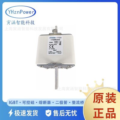 170M6304 170M6305 170M6306 170M6307  高压熔断器熔断器标准全