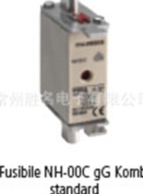 ITALWEBER 熔断器NH1C Nh1 160A 500V 120KA gL/gG CE 保险丝管体