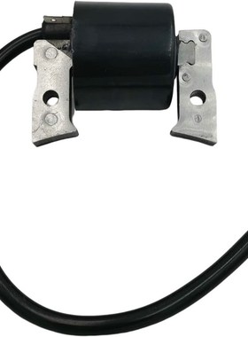 点火线圈高压包适用于 21121-2086 FC420 FH430 FH381V DS10