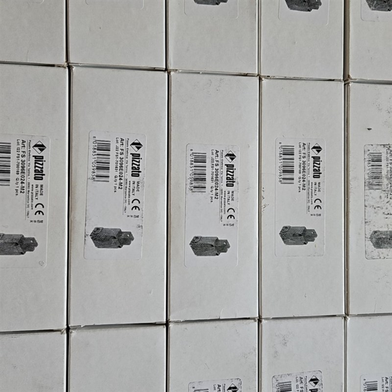 意大利皮扎托pizzato开关FS 3096E024-M2 现货