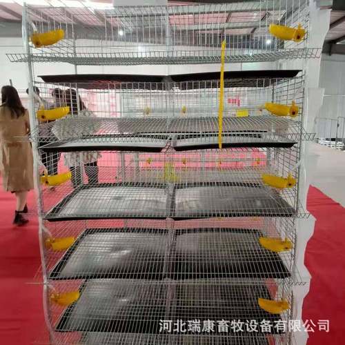 生产鹌鹑笼立体自动6层加粗加密镀锌丝焊接鹌鹑养殖笼