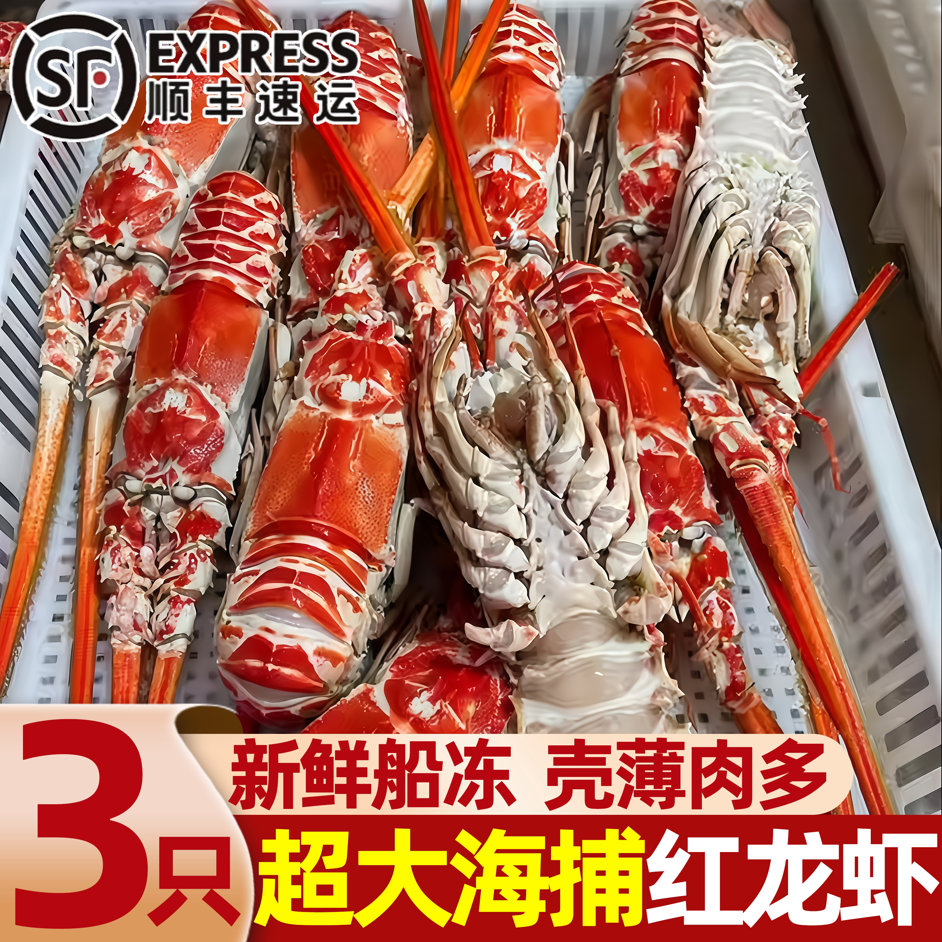 鲜活超大波斯顿角脊龙虾