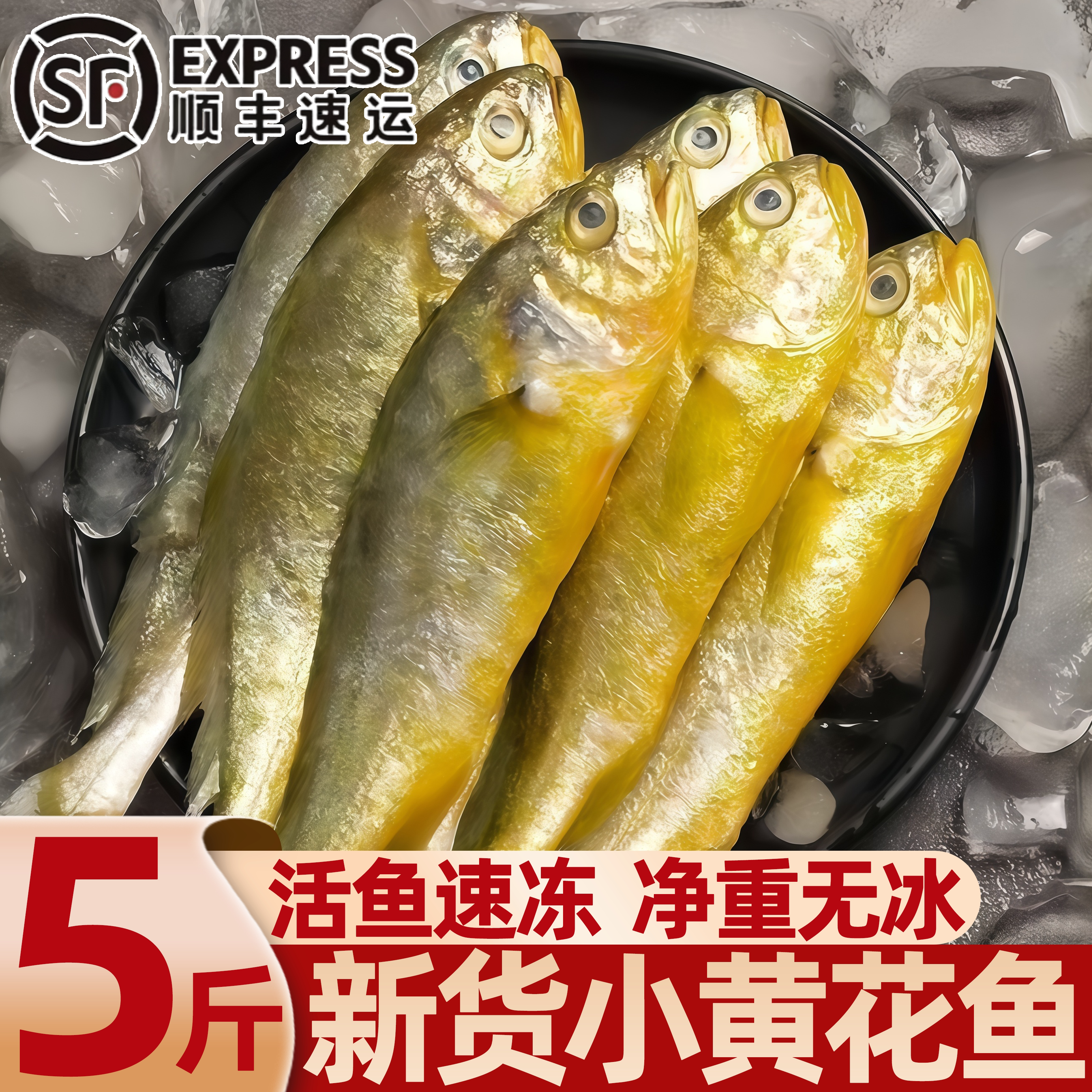 山东青岛小黄花鱼冰鲜批发