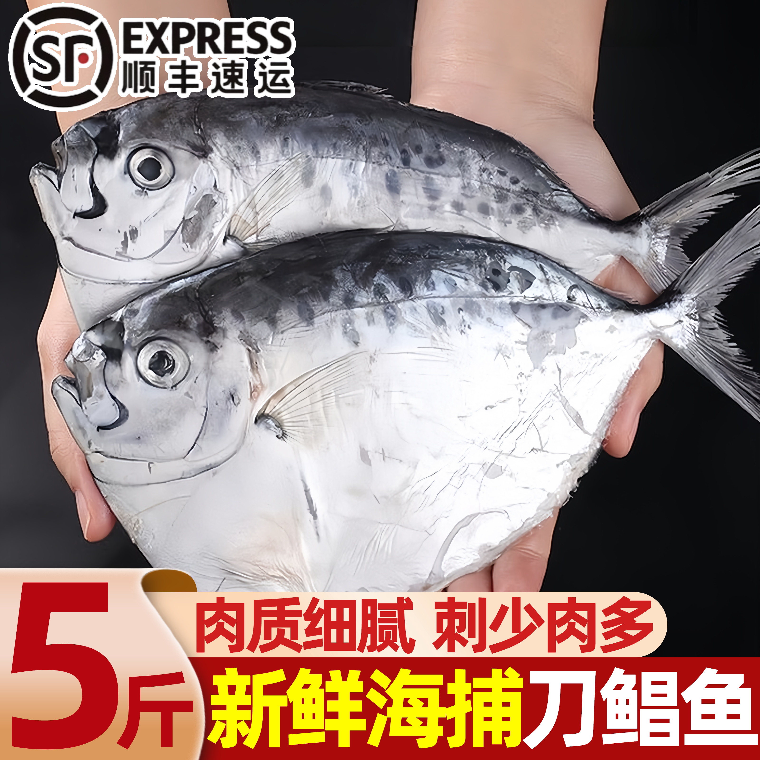 野生刀鲳海捕新鲜冷冻批发