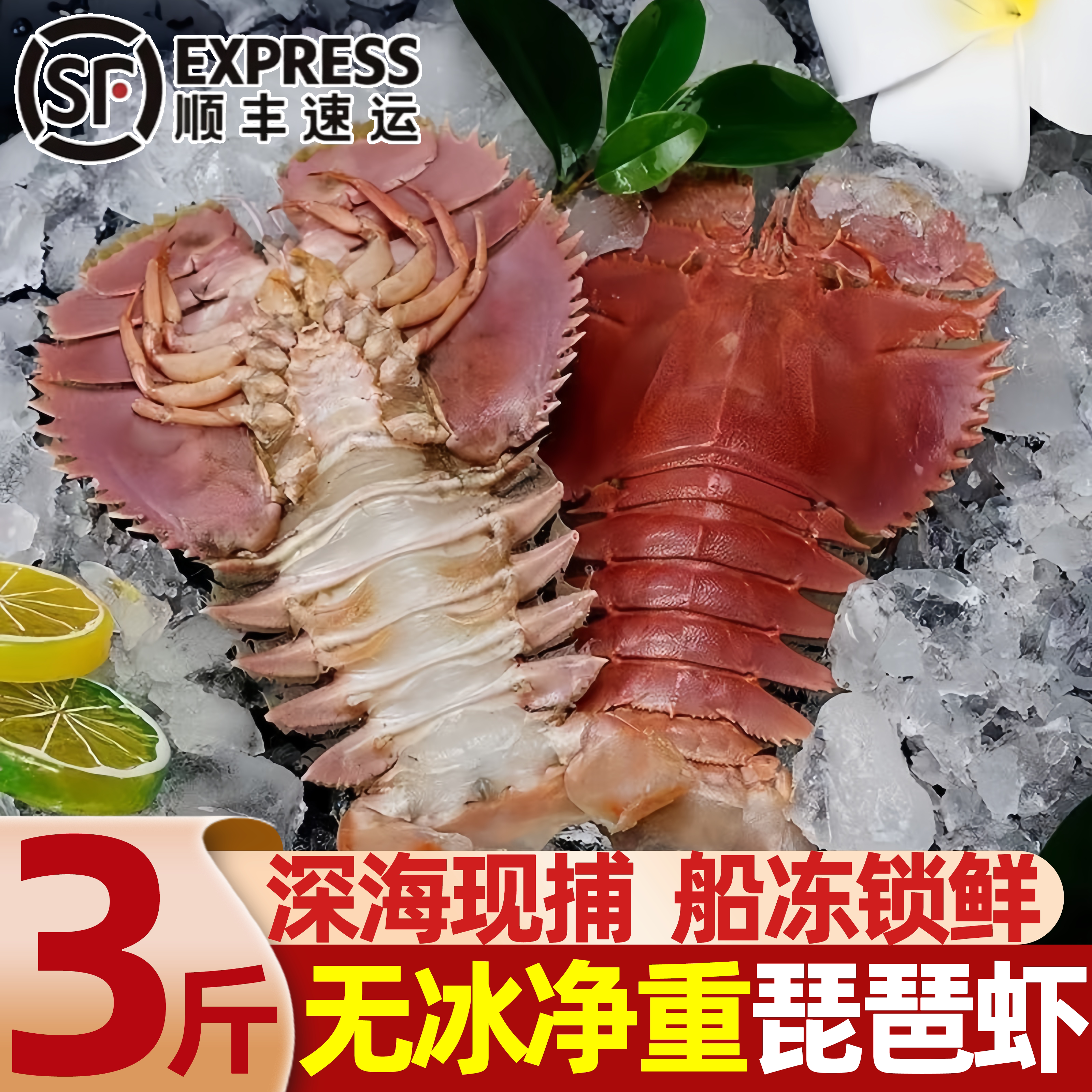 野生特大鲜活琵琶虾冷冻