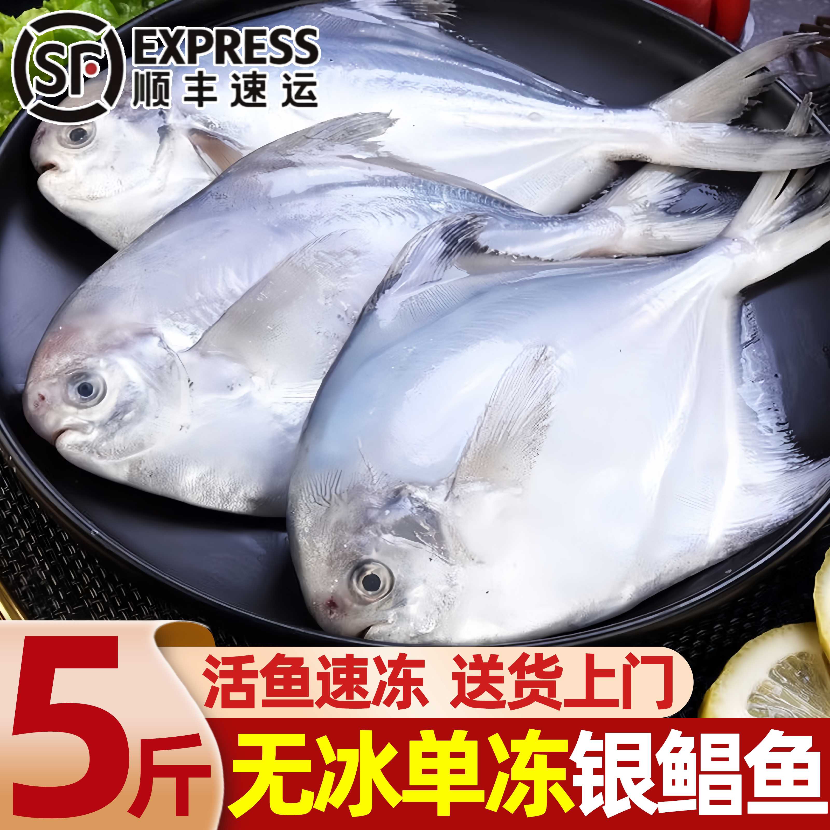 新鲜冷冻银鲳鱼海捕非金鲳批发