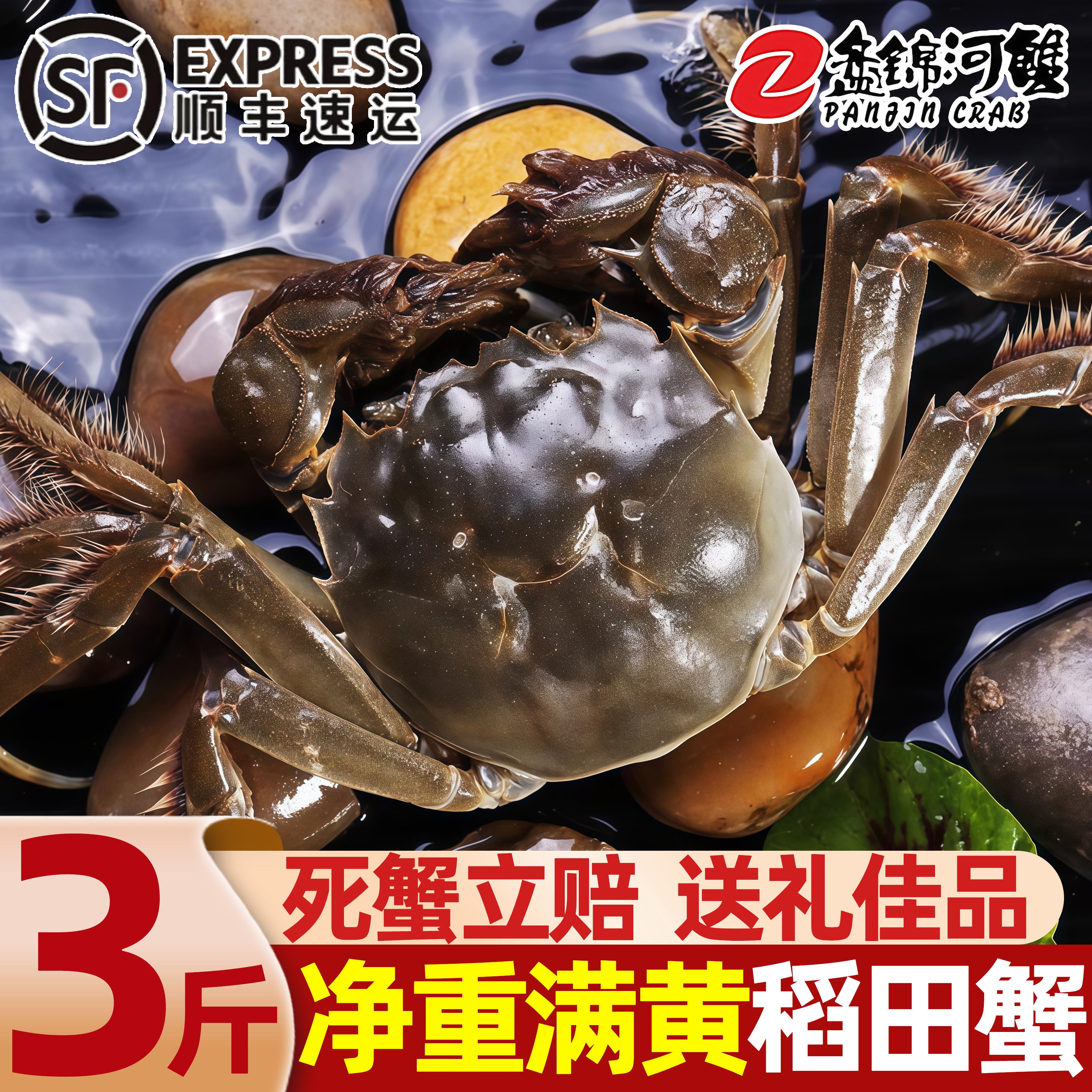 盘锦鲜活大闸蟹批发包邮