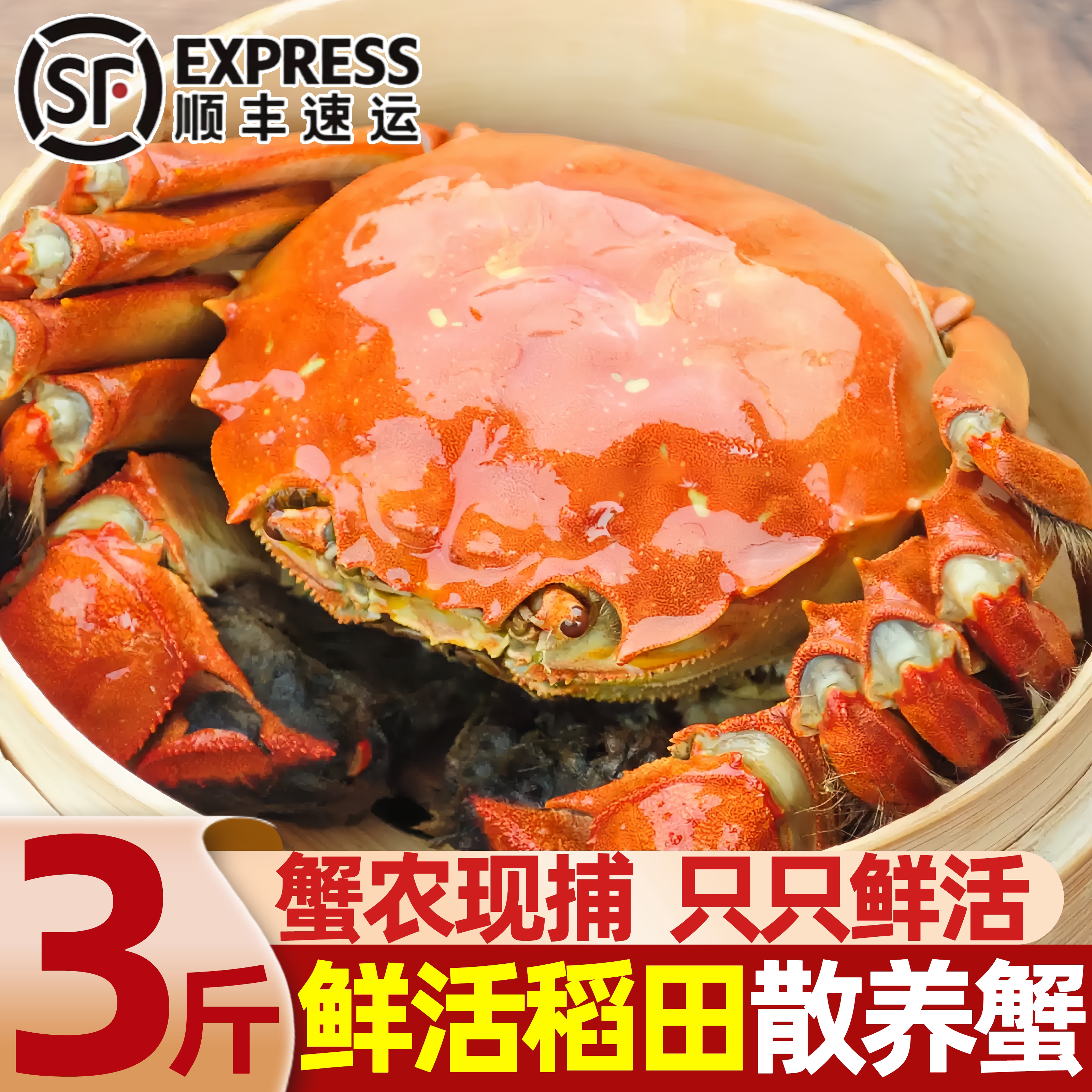盘锦鲜活大闸蟹现抓顺丰