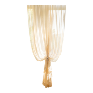 法式梦幻流光纱窗帘纱帘r透光不透人窗纱客厅阳台飘窗半遮光高级