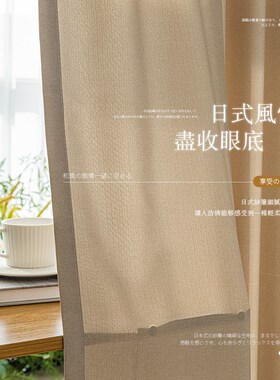 镜面纱帘透光不透人窗帘客厅飘窗阳台白色遮挡窗纱帘202Z4年新款