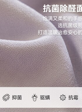 毛球花边女孩房间紫色窗帘绍兴柯桥B全屋轻奢现代简约客厅2023新