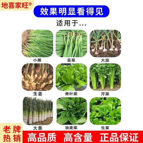 大葱香葱生姜韭菜大蒜洋葱叶面肥黄D叶干尖一喷绿抗病膨大增产肥