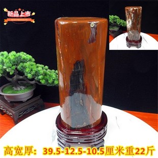 精品新疆木化石 原石奇石收藏 自然石天然 中式S摆件硅化木 生财