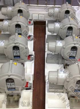 R786591西博斯执行器 电机47/02 R287519 配2SA5064-9CE00-4AB3-Z