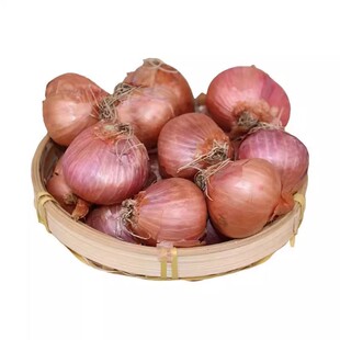 5斤鬼干小洋葱东北毛葱头农家特产新鲜种籽栽子头迷你圆红葱头
