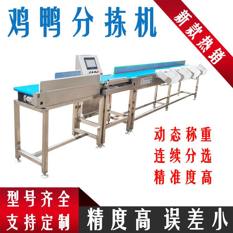 鱼类皮带式重量分选机 活鱼大小分拣机 新款鲅鱼带鱼多级筛选设备