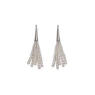 【新款】拂光小扫帚天然珍珠耳钉流苏耳饰轻奢高级感气质耳环